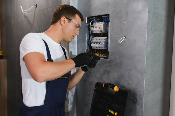 Best Electrical System Inspection  in Littlefield, TX